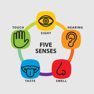 five-senses-icon-set_62147502195